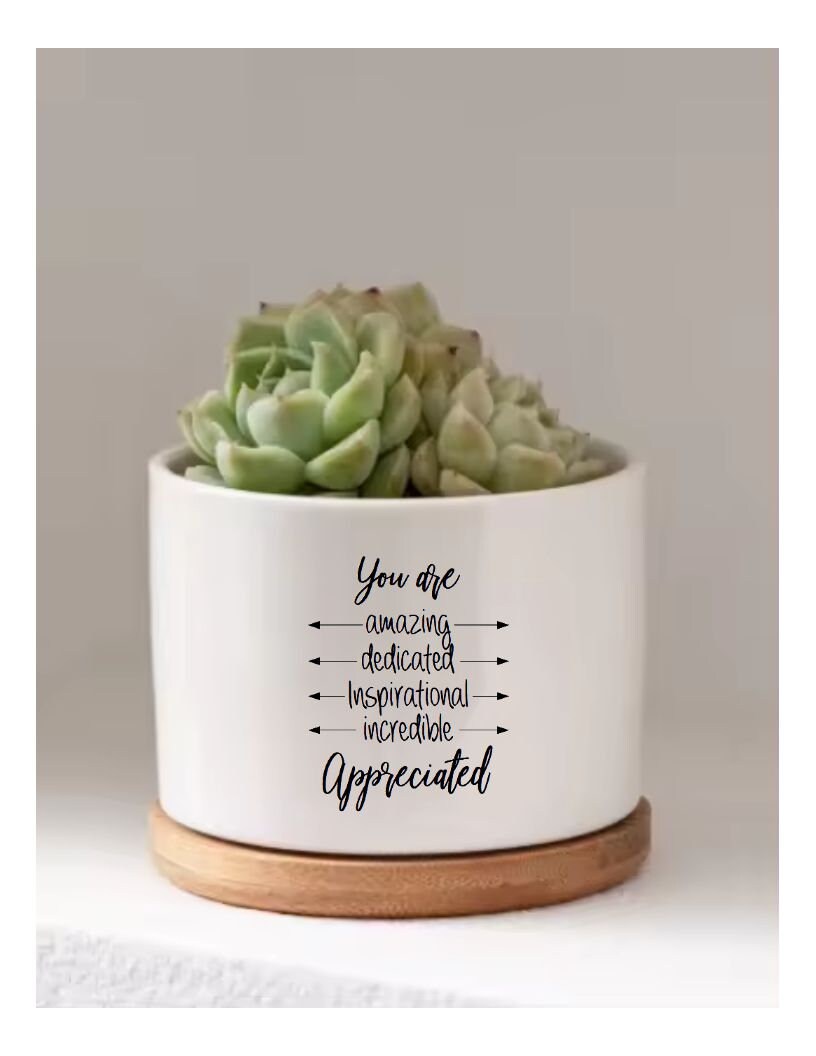 thank you plant pot You Are Appreciated Employee Appreciation Gift Coworker Thank You Gift Succulent Flower Pot Gift Amazing Dedicated Inspirational Incredible