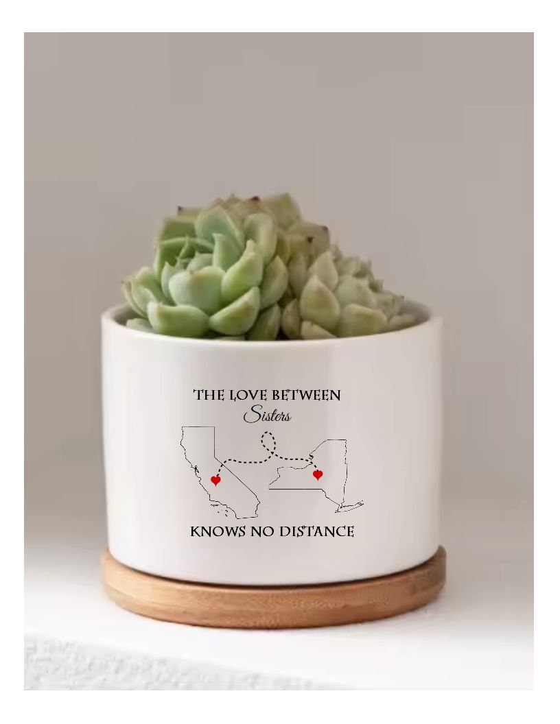 succulent sisters Gift for Sister The Love Between Sisters Know no Distance Succulent Pot Gift for Sisters Long Distance Family Map Two State Birthday Gift