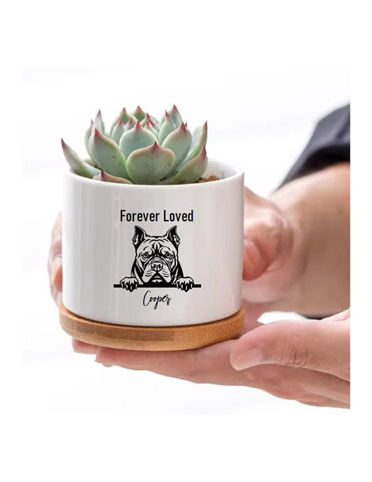 Dog Memorial Gift Personalized Custom Pet Memorial Dog Pet Loss Gift Dog Loss Gift Dog Mom Gift Personalized Dog Succulent Flower Pot Gift