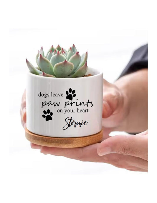 Gift for Dog Mom Dog Lovers Gifts Dogs leave Paw Prints on your Heart Pet Memorial Personalized Dog Succulent Flower Pot Succulent Gift