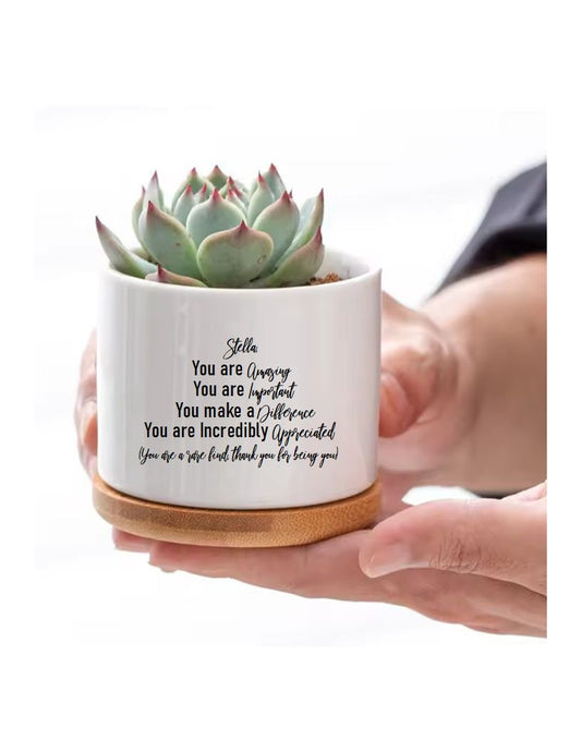 Employee Appreciation Gift Personalized Teacher Coworker Thank You Gift Succulent Pot Amazing Important Difference Affirmations Appreciated