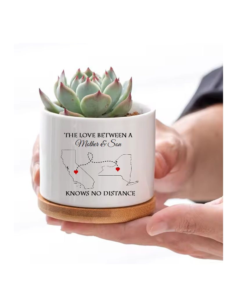 Christmas Gift for Mom from Son Succulent Pot Love Between Mother and Son Knows No Distance Long Distance Family Map two States