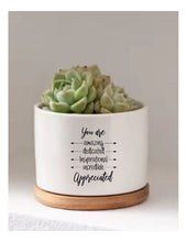 You Are Appreciated Employee Appreciation Gift Coworker Thank You Gift Succulent Flower Pot Gift Amazing Dedicated Inspirational Incredible