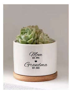 Promoted to Grandma Gift Mom to Grandma Succulent Pot New Grandmother Gift Christmas Gifts Pregnancy Announcement Custom New Grandma Gift